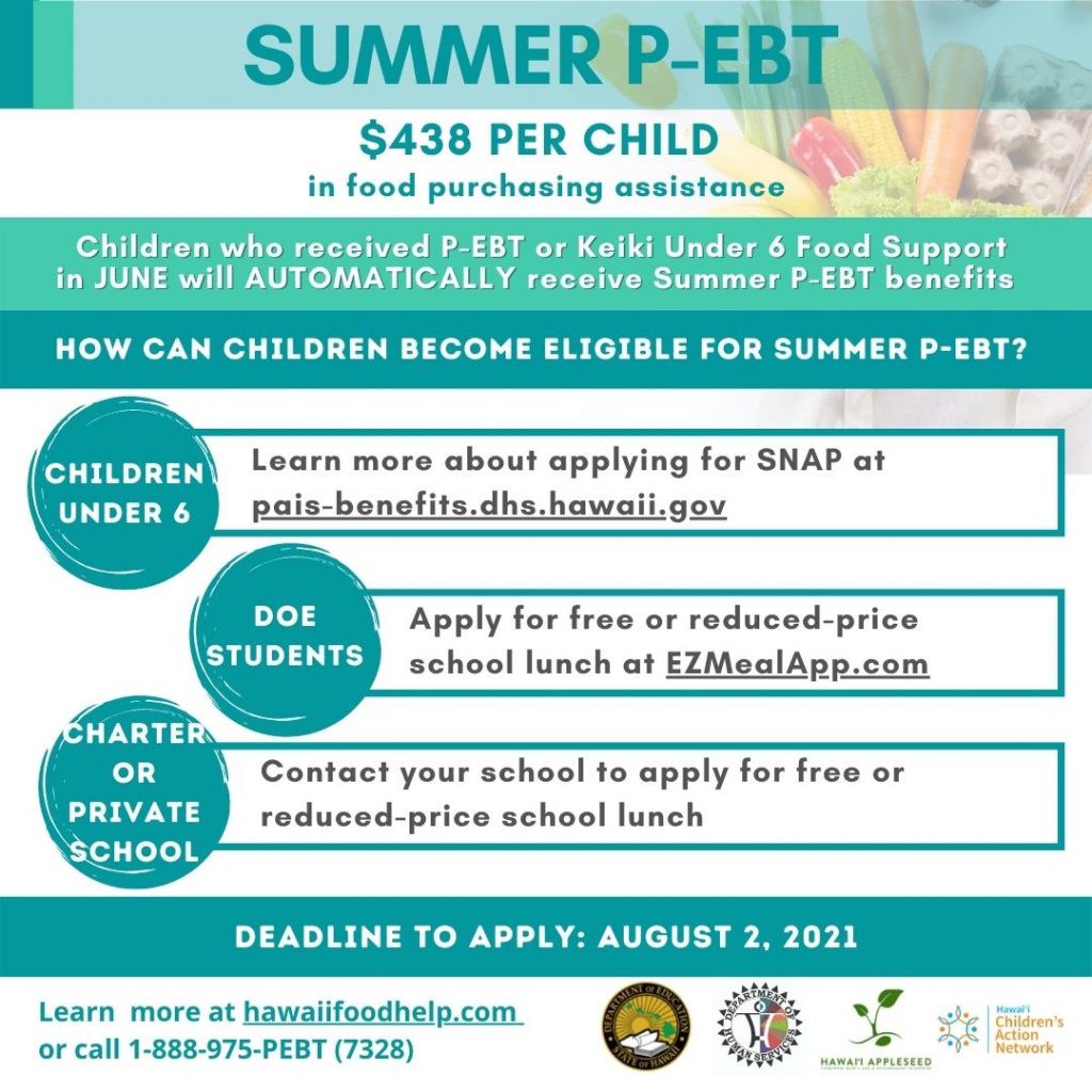 Benefit, Employment & Support Services DSNAP, Summer PEBT, SNAP