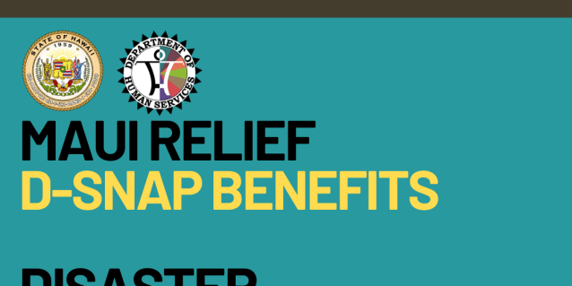 <a href="https://humanservices.hawaii.gov/blog/hawaii-disaster-snap-program-launches-monday-september-18-2023/">Updated D-SNAP Application Information<br /><span>Read More<span class="fa3icon icon-signin"></span></span></a>