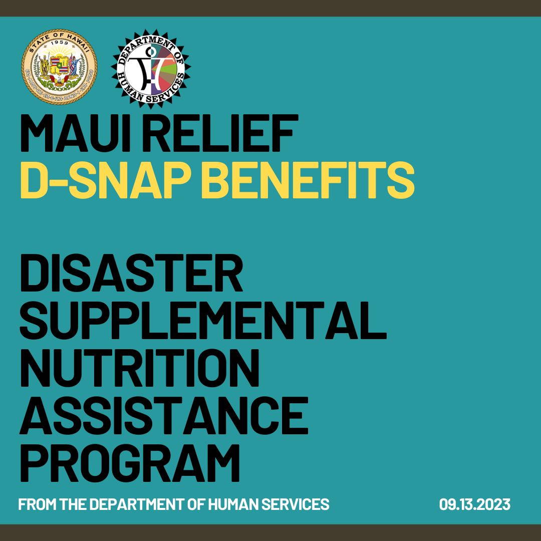 department-of-human-services-hawai-i-disaster-snap-program-launches